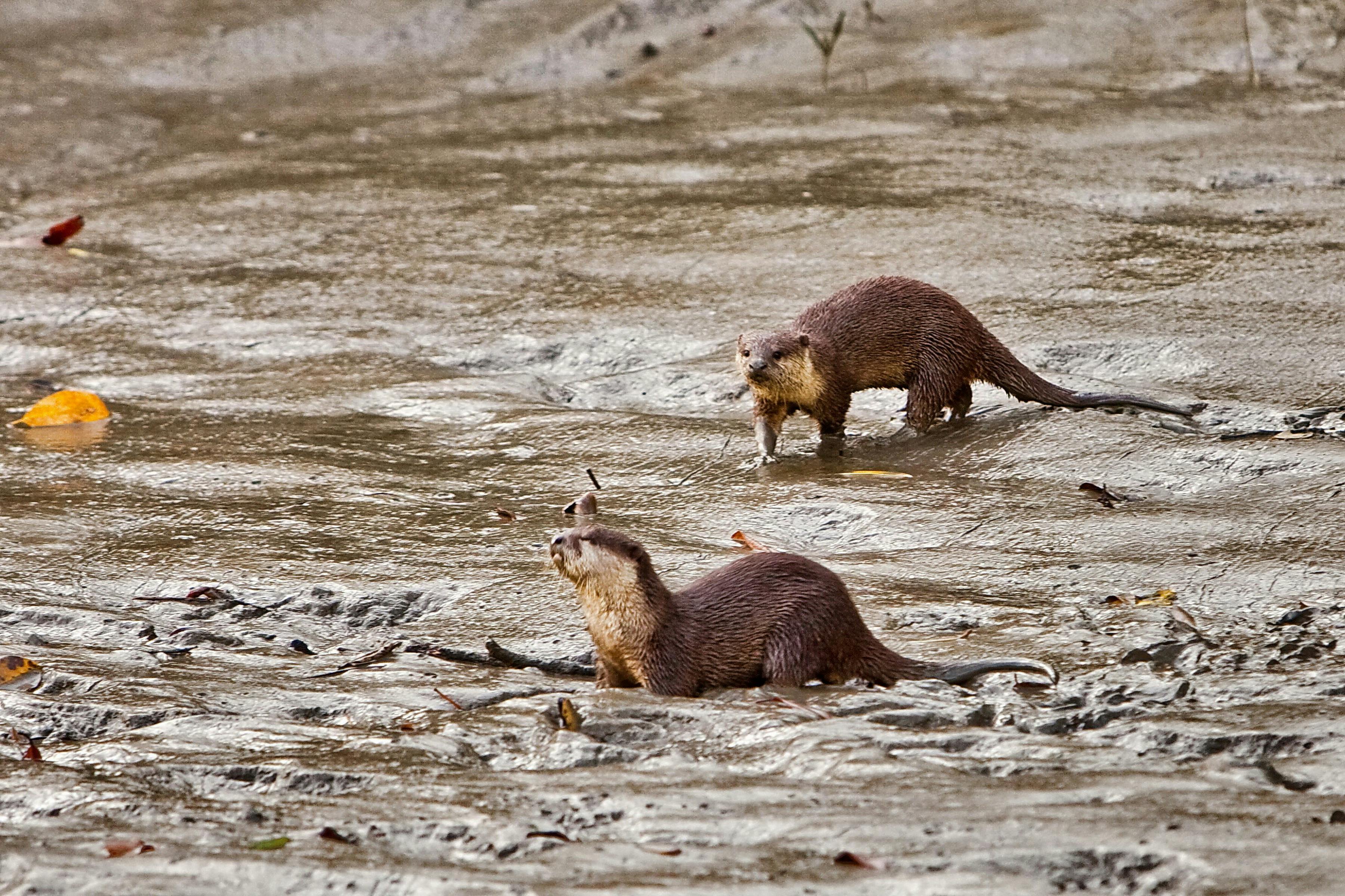 Coastal_Protection_MPAs