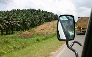 palm oil plantation sabah malaysia