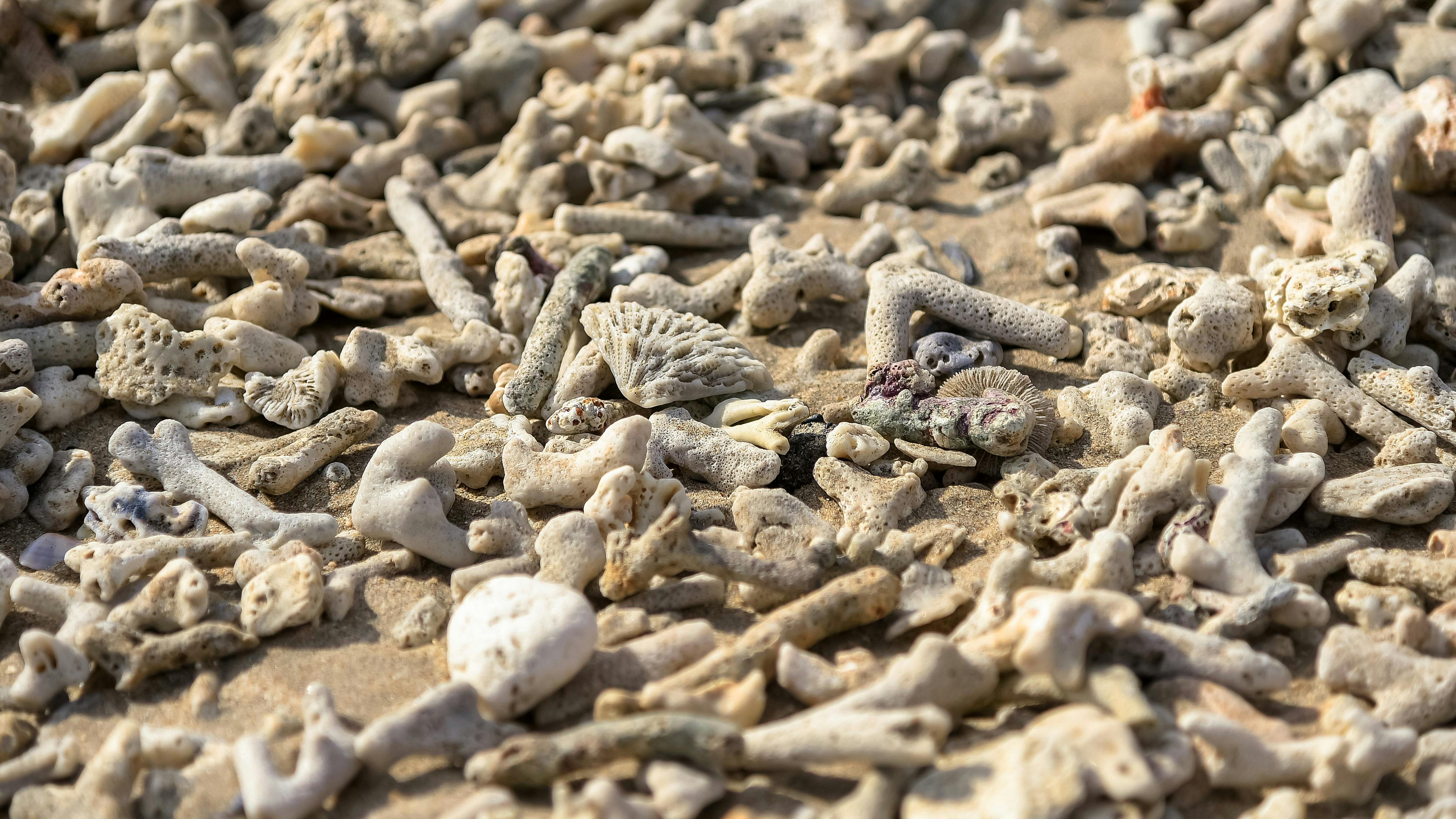 Sand_Mining_Risk_Indonesia