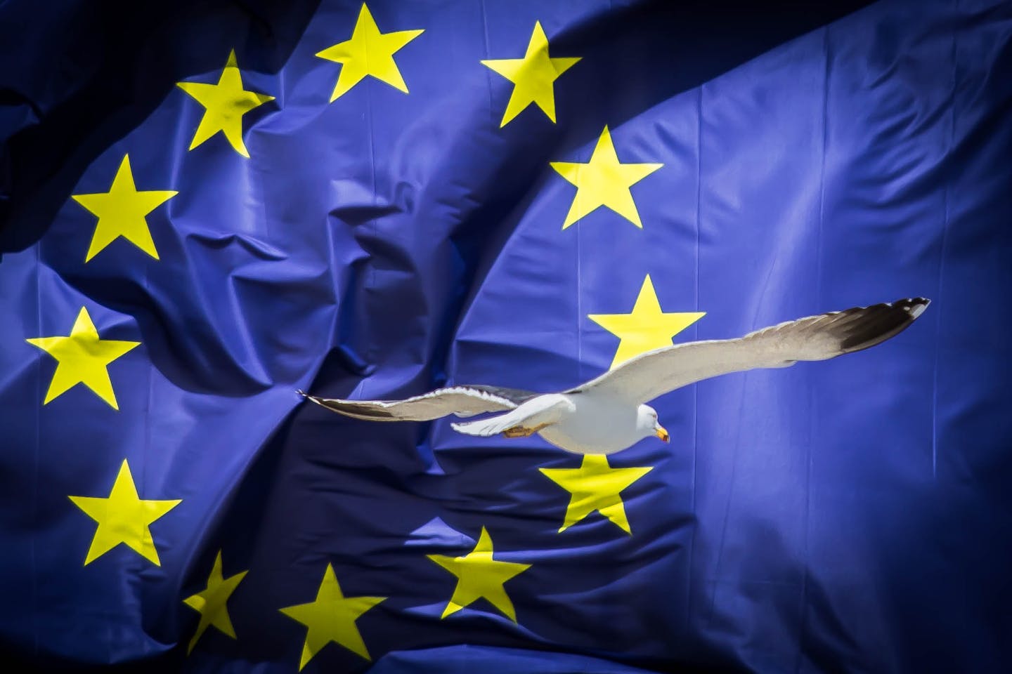 Q&A: What does the Brexit deal say about climate change and energy?