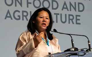 Dechen Tsering talking at the Responsible Business Forum in Thailand