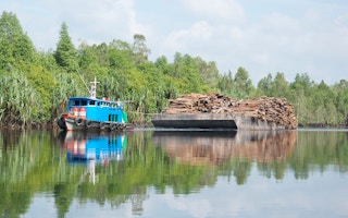 hauling timber from Indonesian peat forest