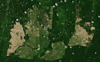 palm oil satellite photo