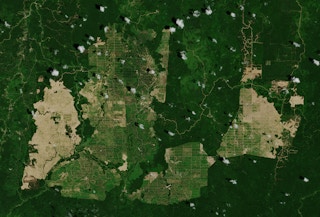palm oil satellite photo