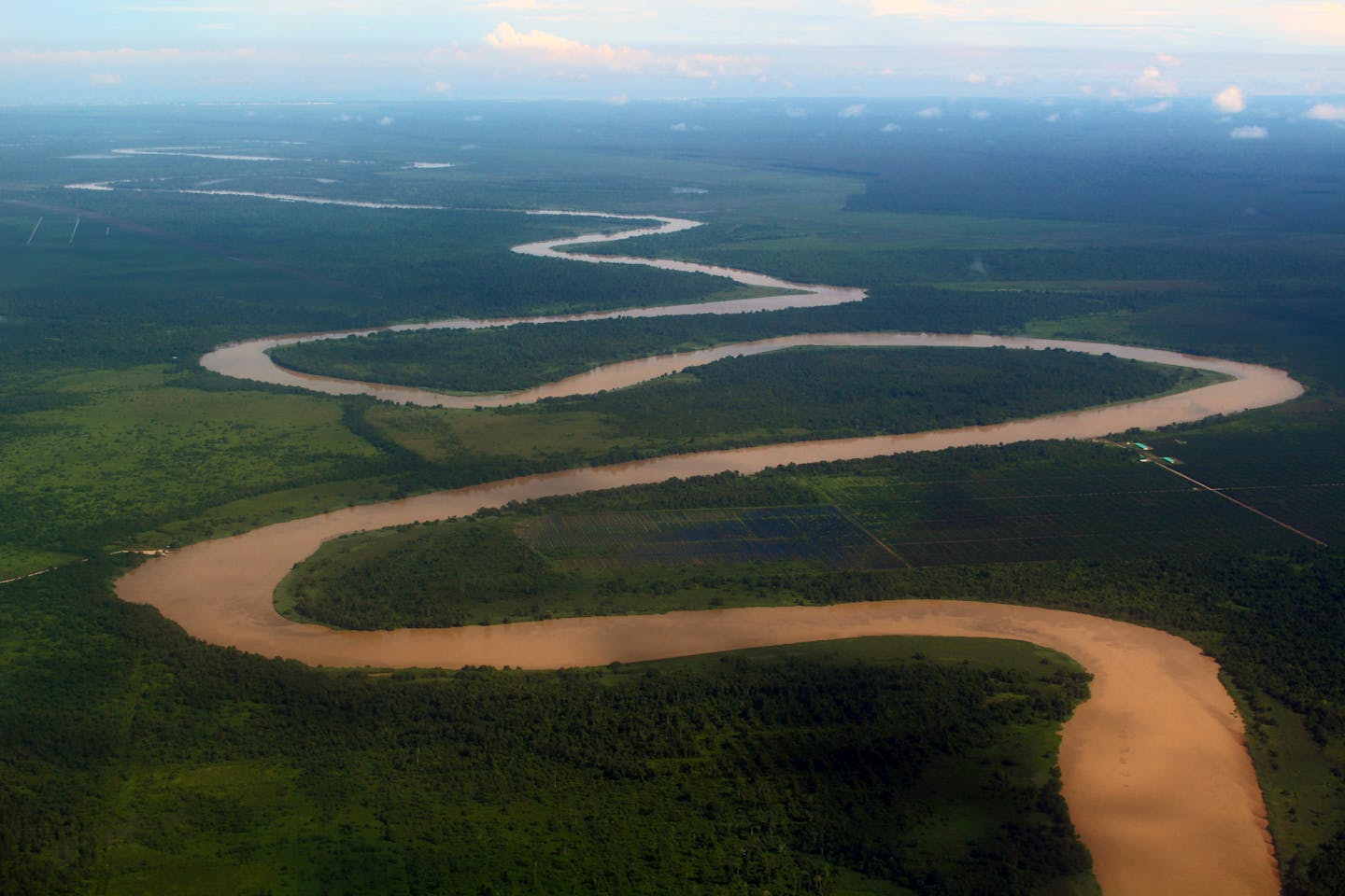To avoid future pandemics, reverse the destruction of ecosystems