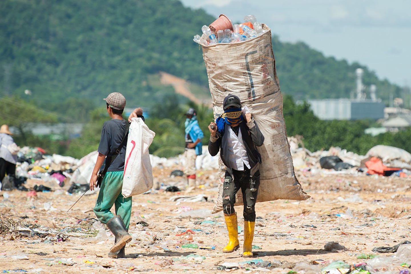 South Korea approves recycled PET as material for new food and beverage  containers