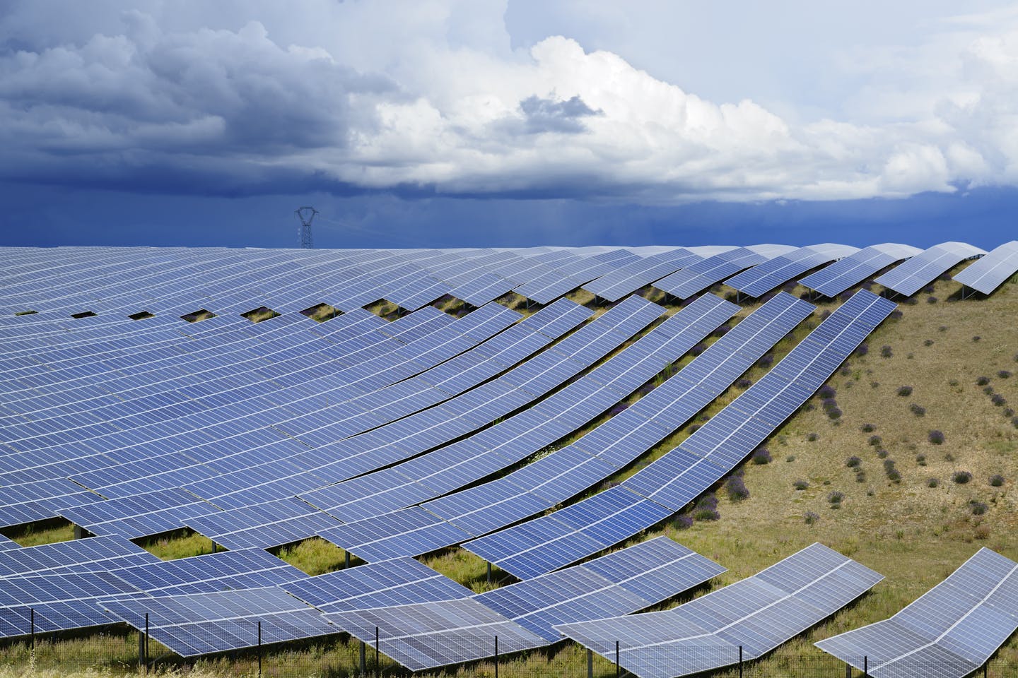 A solar farm.