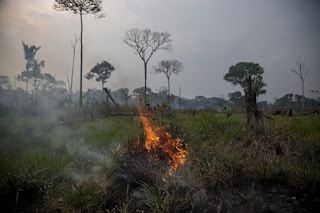 amazon fires