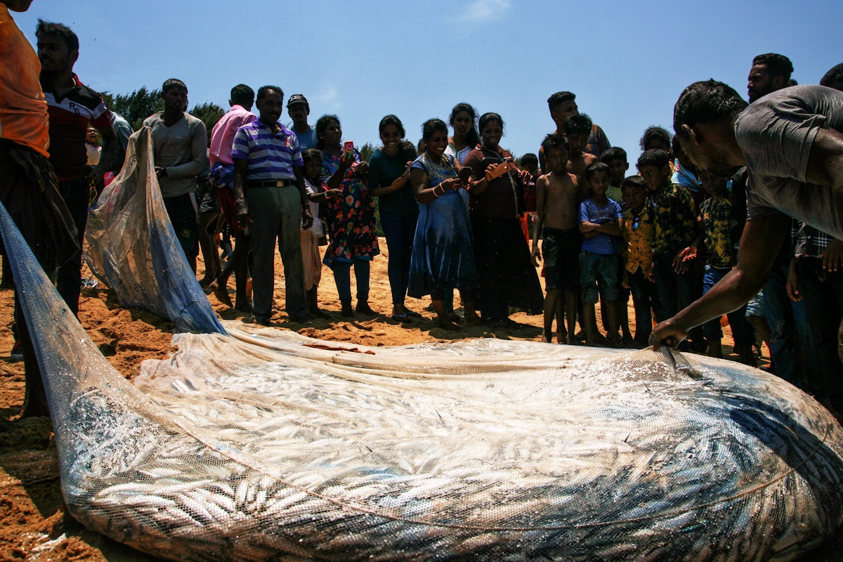 Dynamite fishing is still happening globally and devastating local