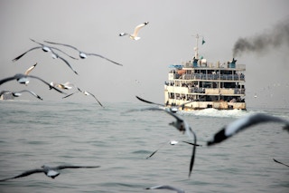 Shipping_Smoke_Seagulls