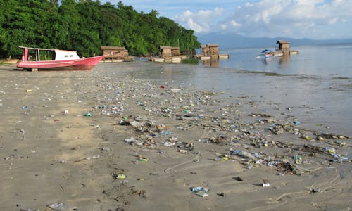 Here's how we can eradicate plastic pollution by 2040