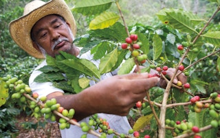 coffee farmer Nestle