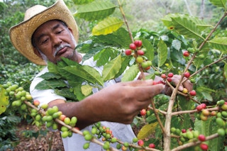 coffee farmer Nestle