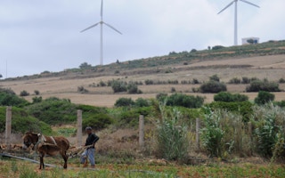Wind_Farm_Tunisia