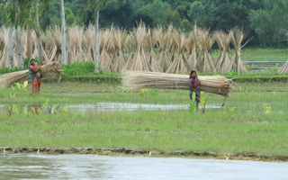 farmers in Bangladesh