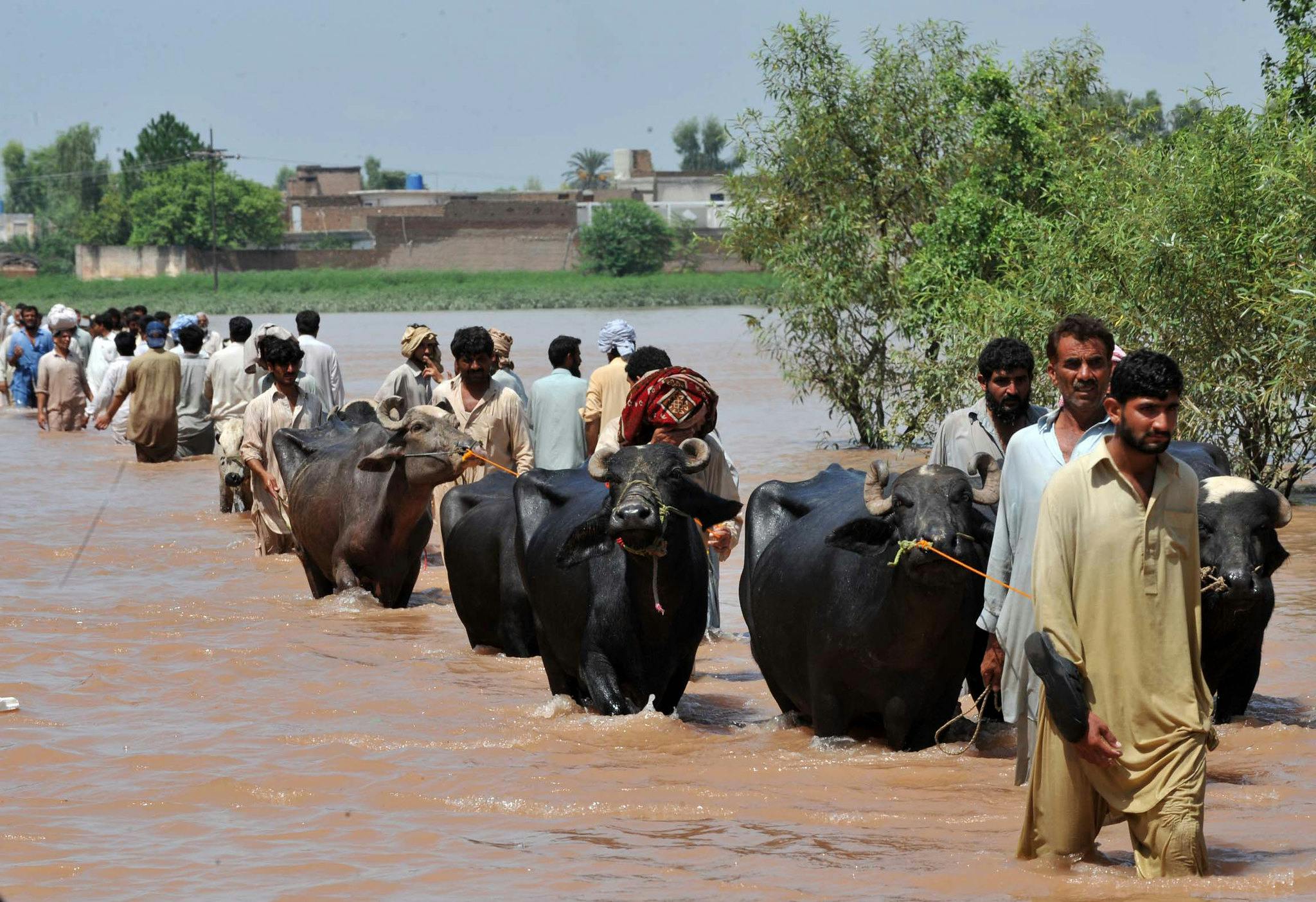 Flood_Disease_Pakistan