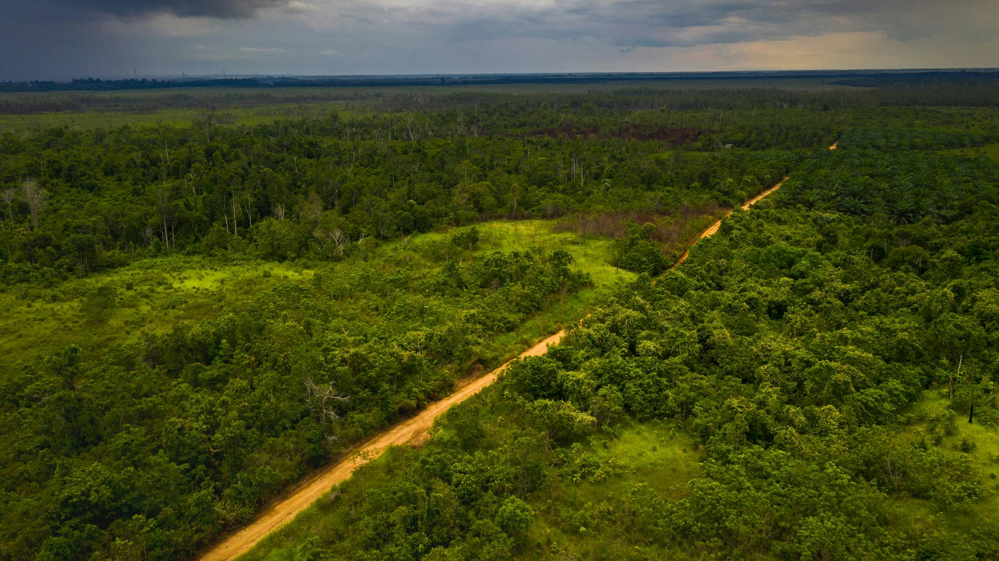 Aerial view_East Kalimantan_Nusantara_Indonesia