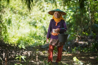 Palm_Oil_Farmer_Woman_Indonesia