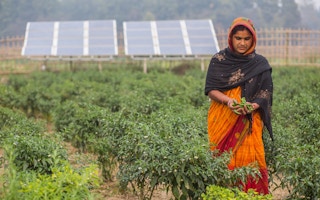 Solar_Pump_Farmer_Nepal_Woman