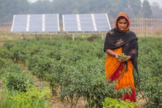 Solar_Pump_Farmer_Nepal_Woman