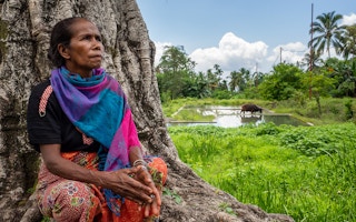 Woman_Farmer_Timor_Leste
