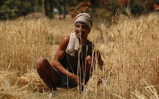 Farmer_India