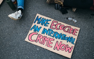 Ecocide_Placard_Protest