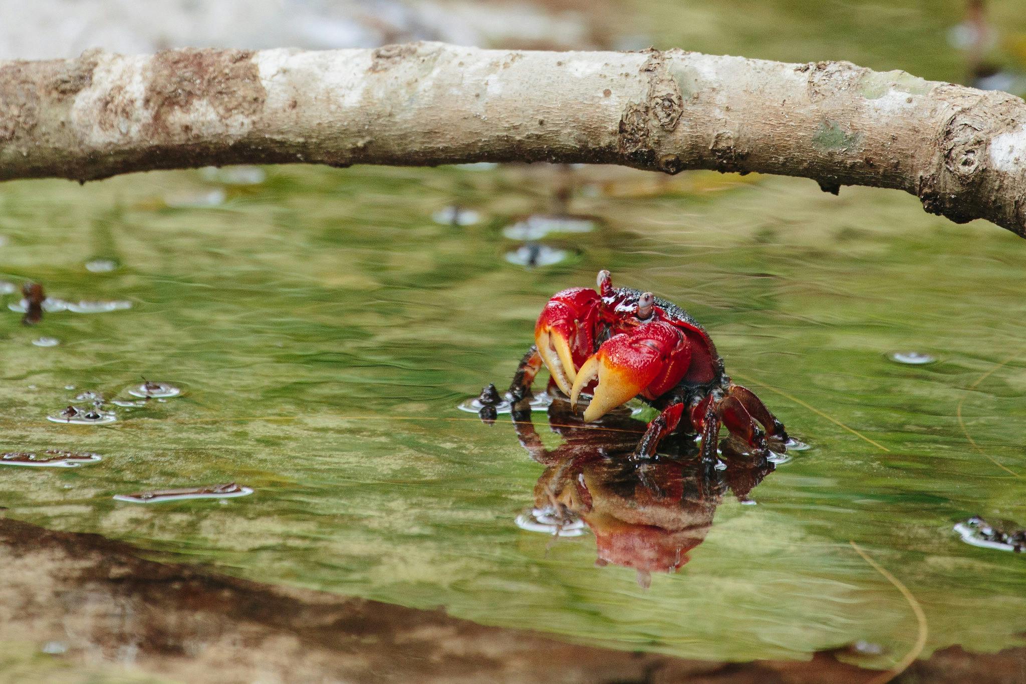 CB_Sea_Level_Rise_Economy