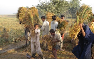 Tenant farmers Pakistan