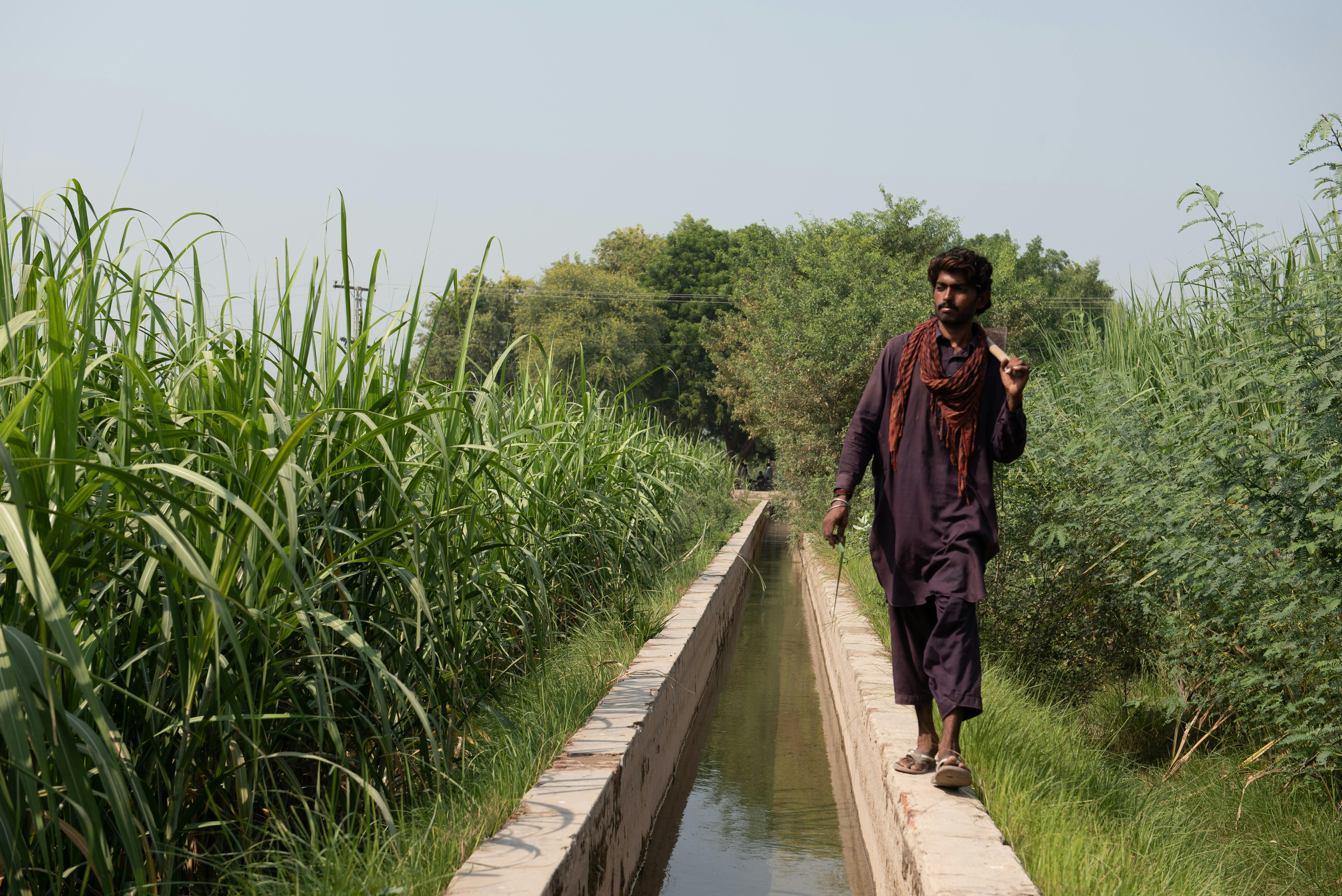 Farmer_Irrigation_Pakistan