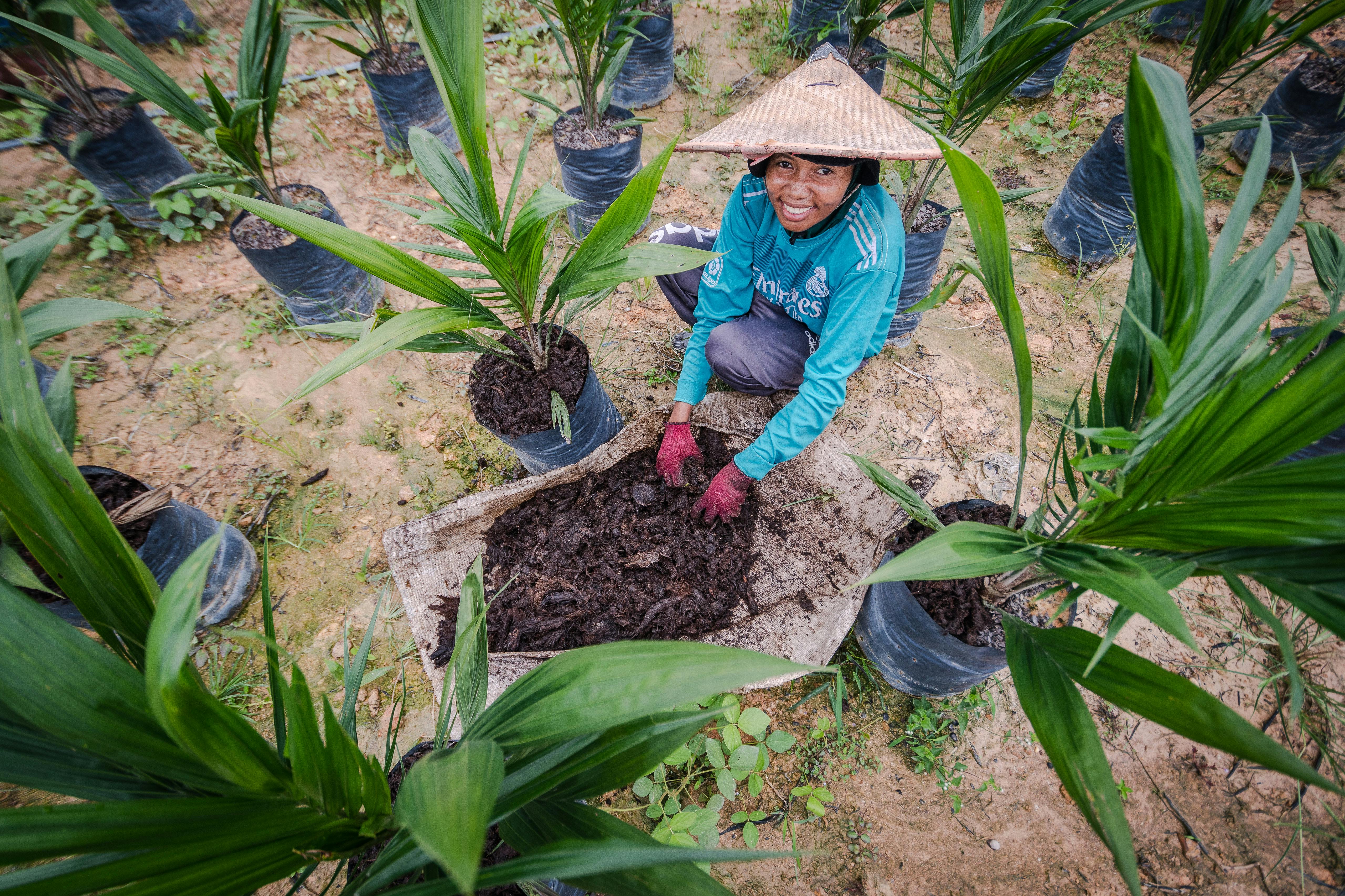 Seedlings_Worker_Indonesia