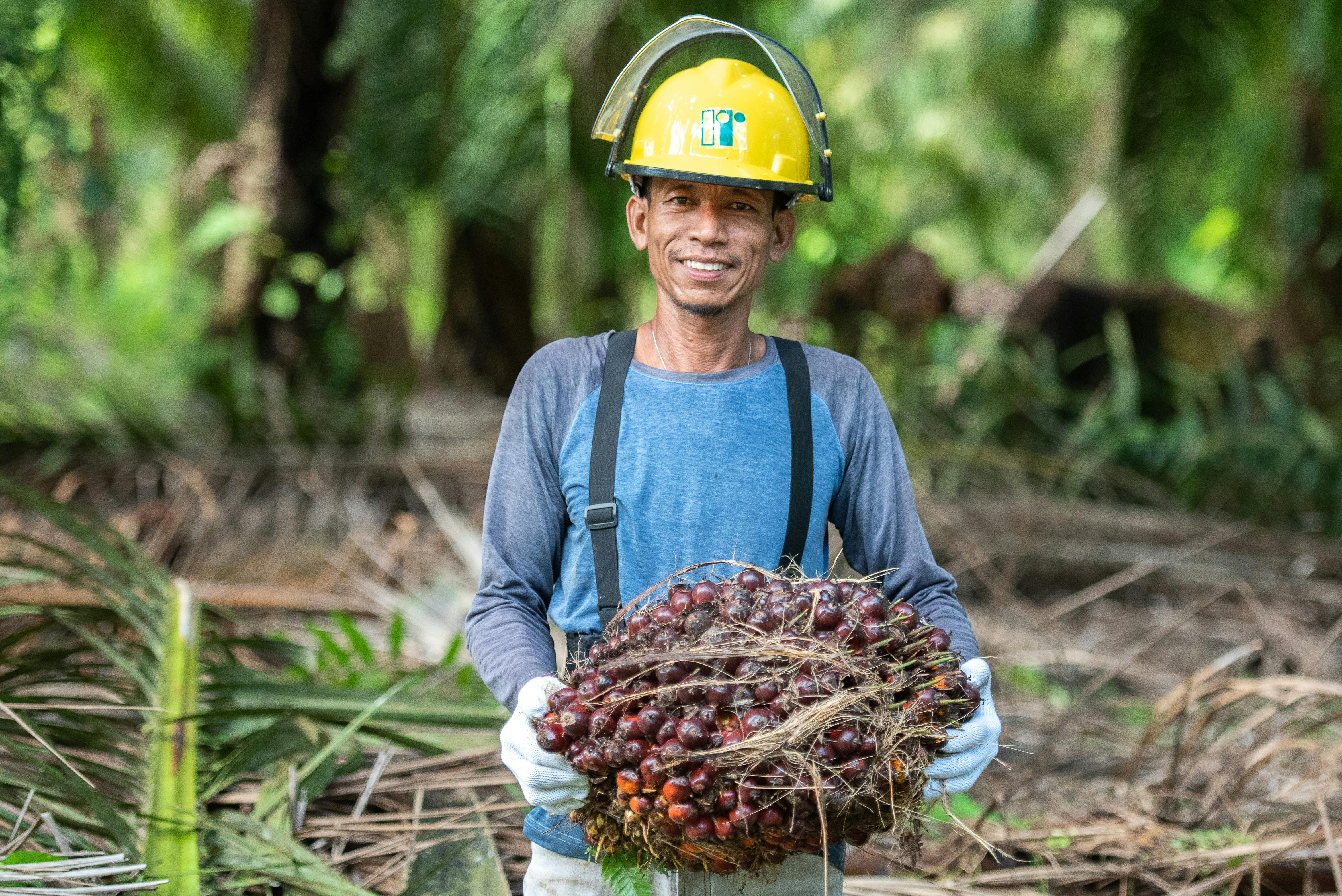 Critics call US–Indonesia trade deal ‘extractive colonialism’ over mining, fossil fuels