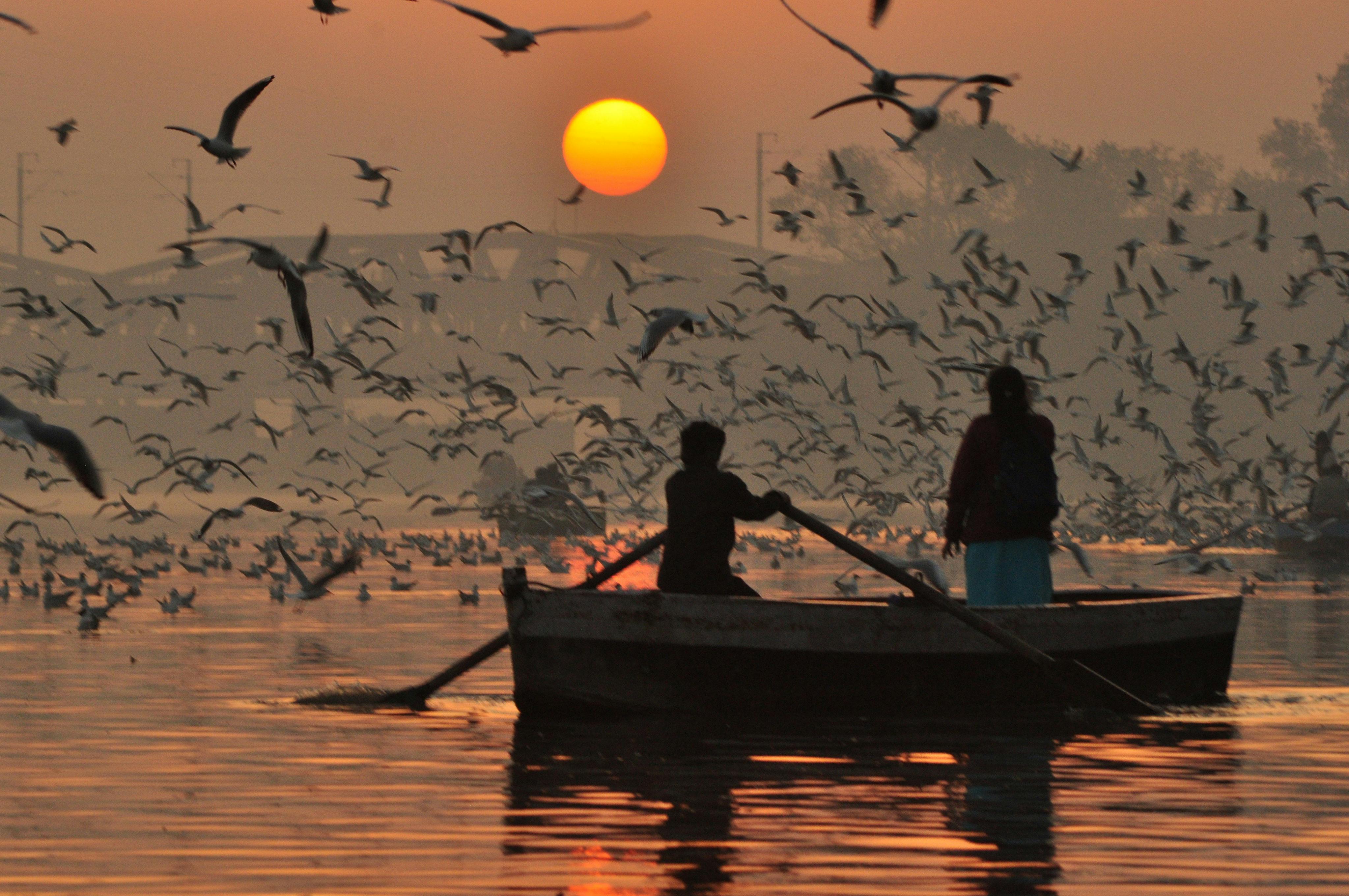 Yamuna_River_Recovery_India