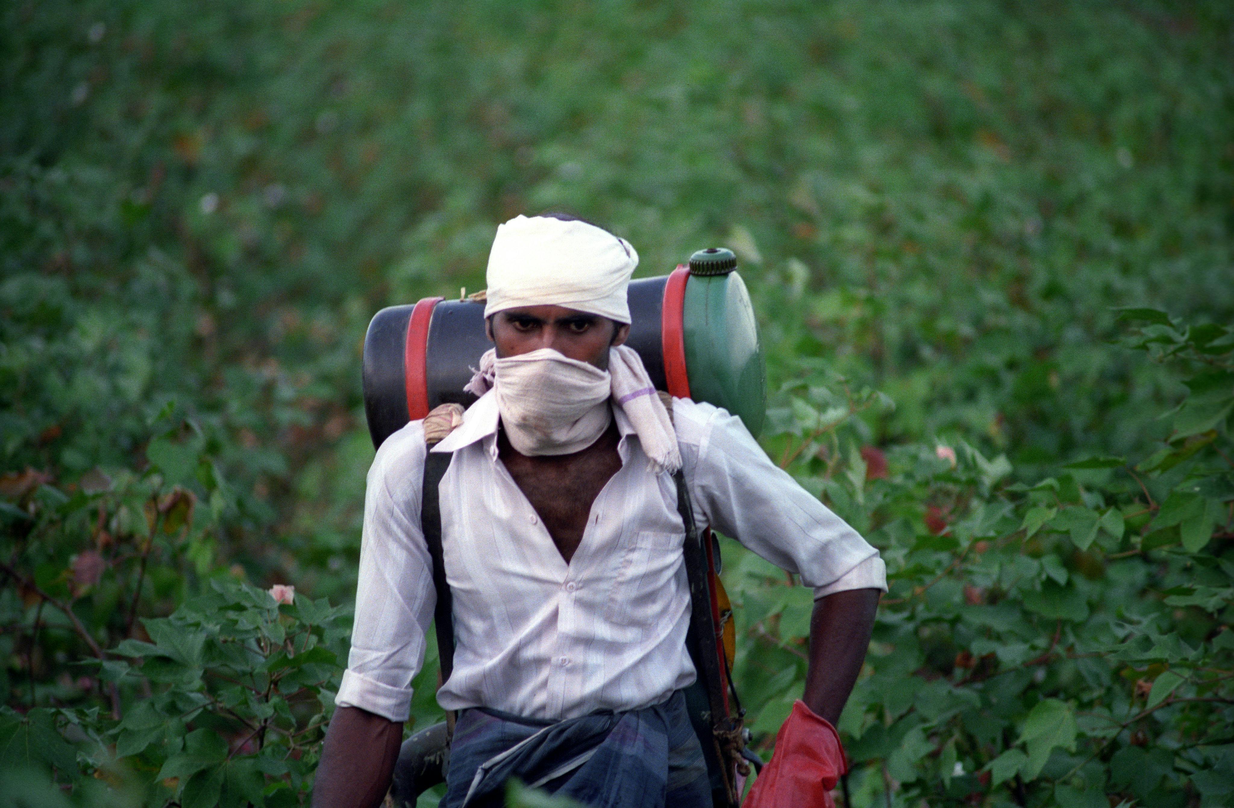 Pakistan floods leave cotton workers' dreams in tatters | News