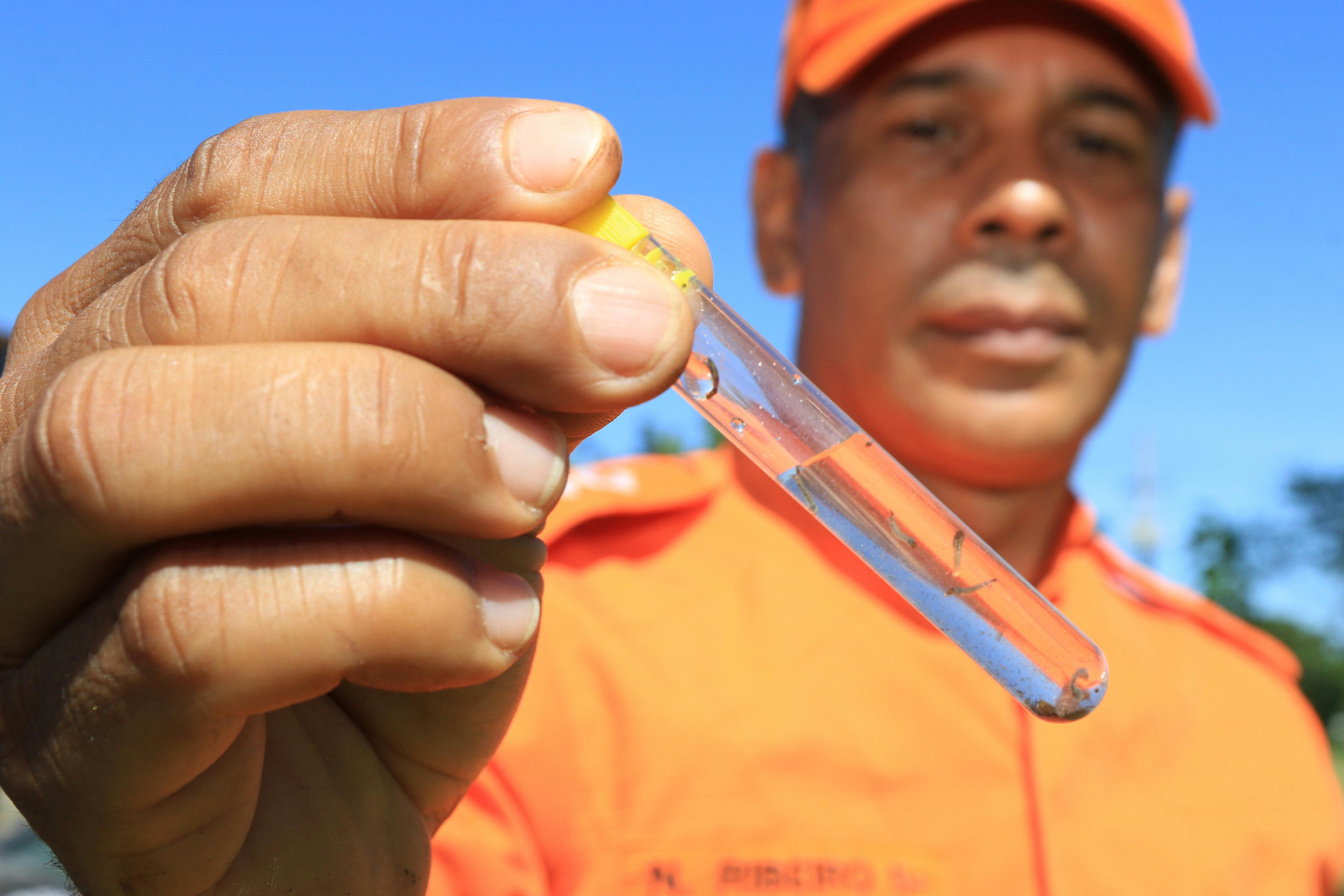 Tropical_Diseases_WHO_Hospital_Dengue