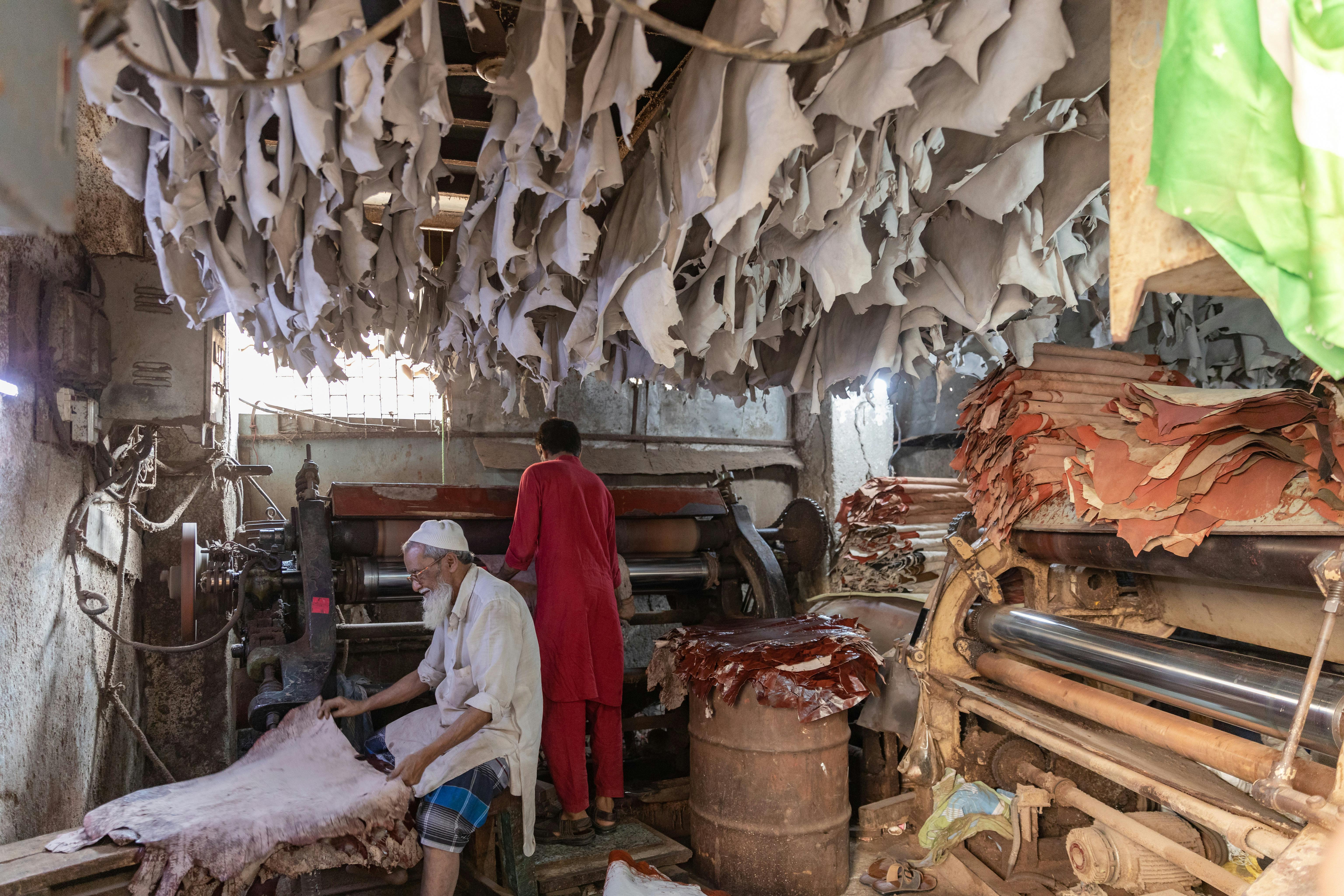 Leather exempted from EU's landmark deforestation law