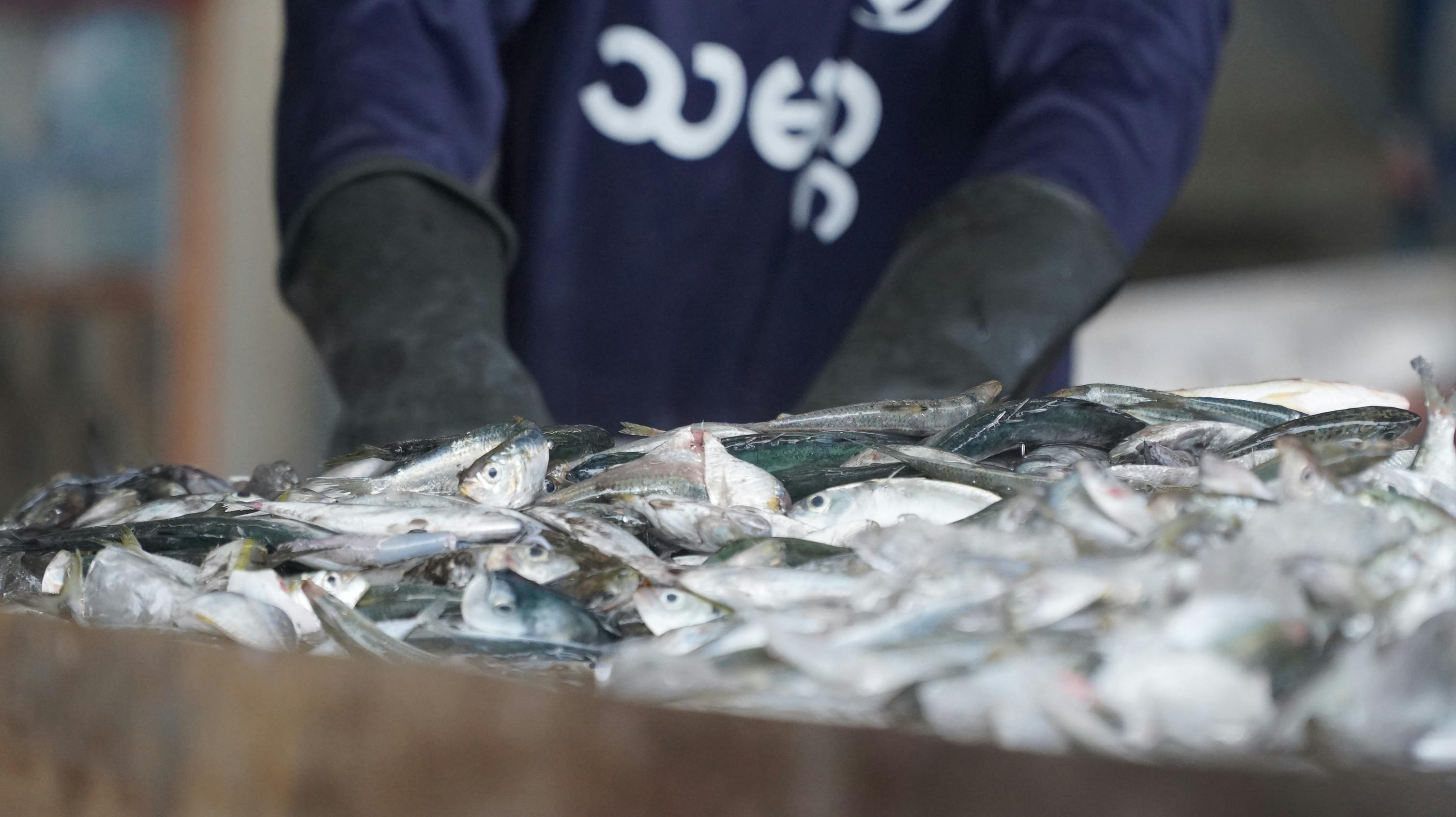 South Korea Tightens Anti-Trafficking Guidelines After Migrant Fisher's Fatal Escape Attempt