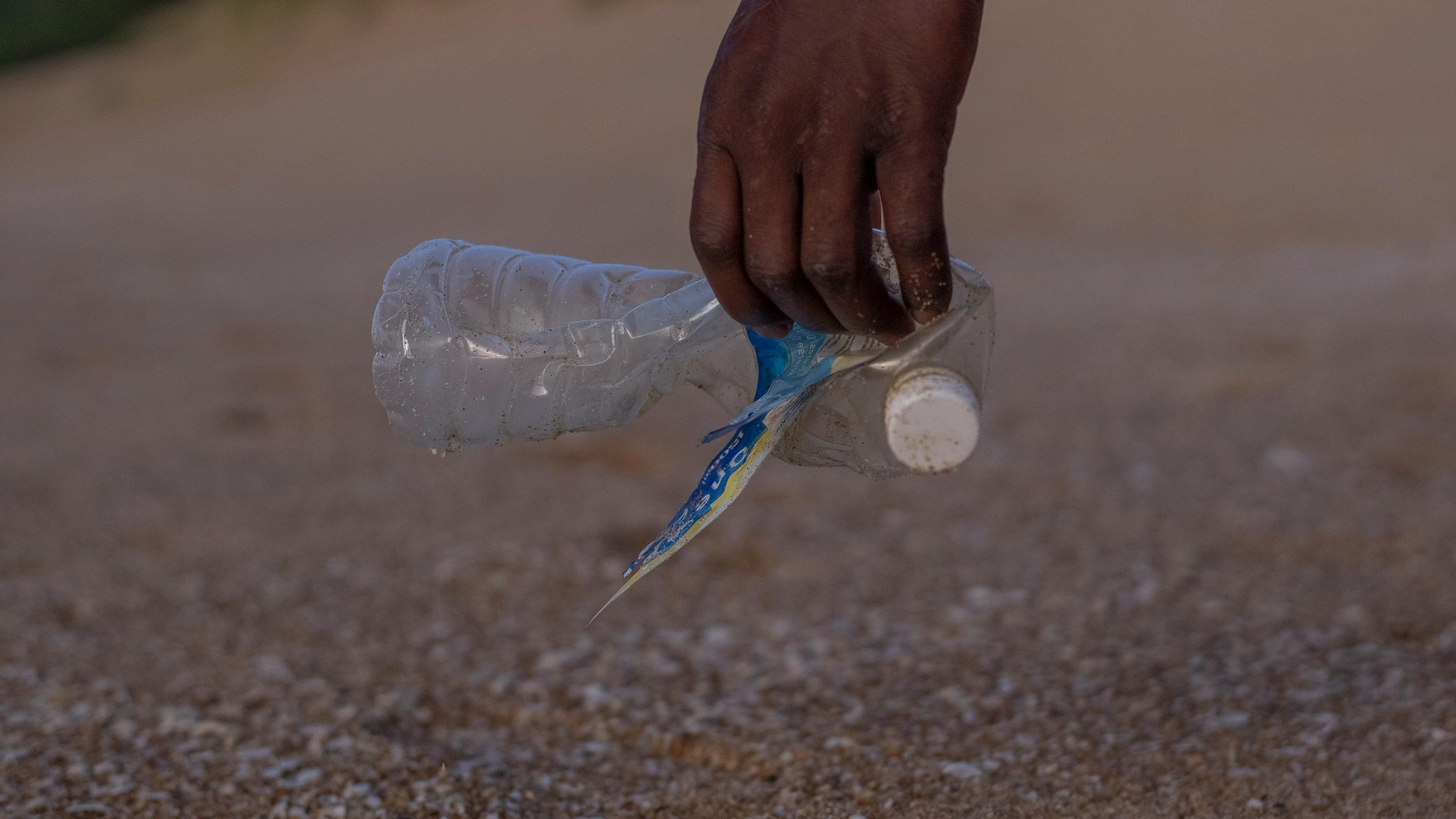 Gannet_Bird_Plastic_Treaty