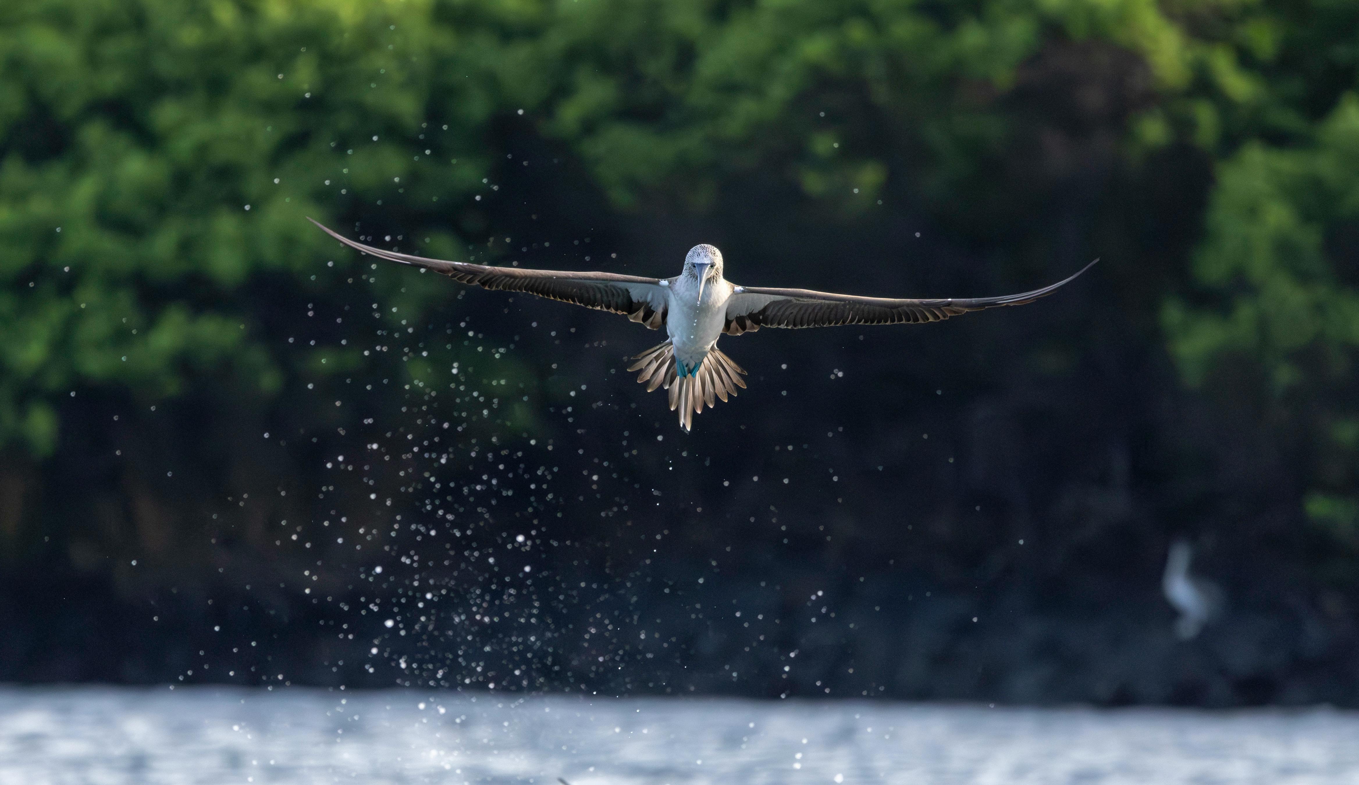 Climate_Risk_Galapagos_Pacific_Islands