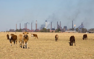 Cattle_Industrial_Area