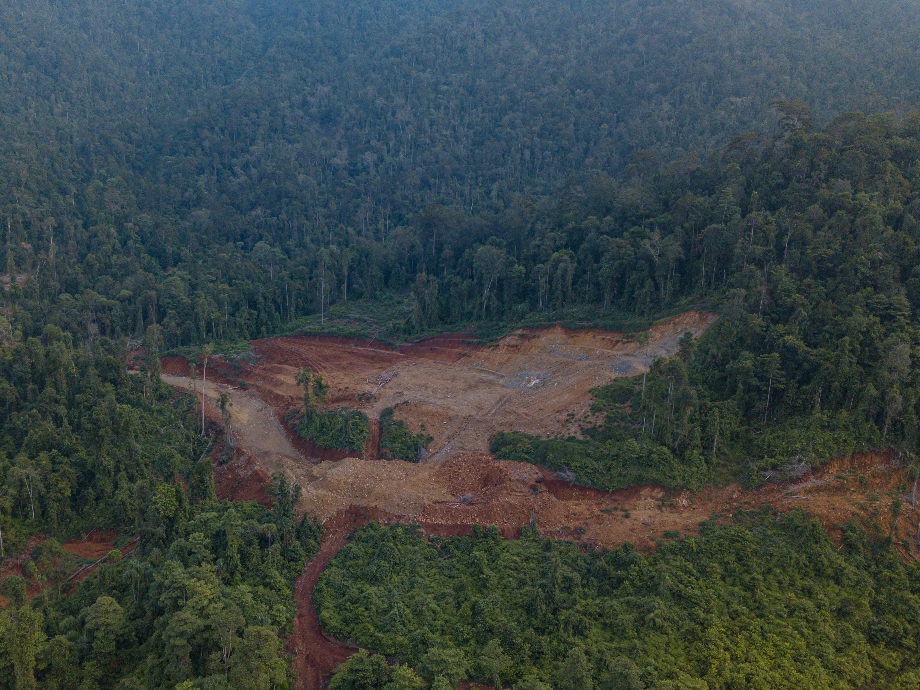 Nickel_Deforestation_Indonesia