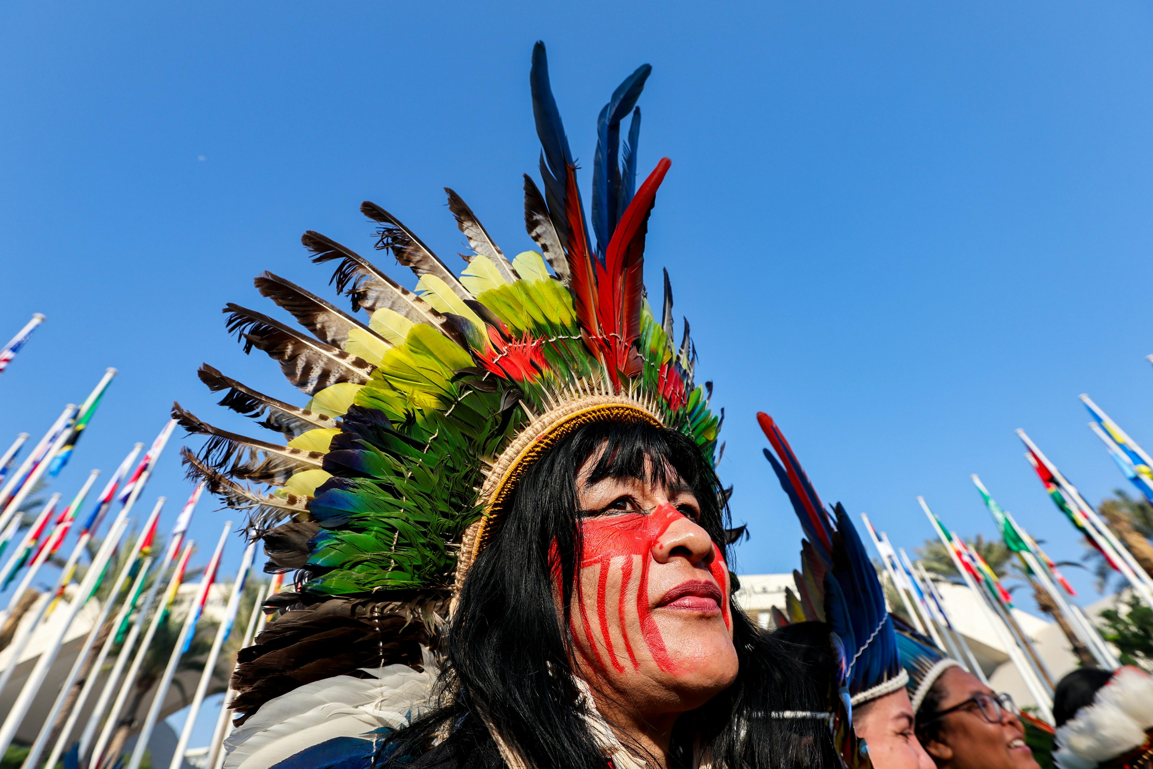 Indigenous_Peoples_COP30_Rights_Land