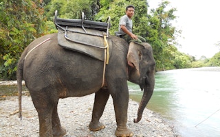 Elephant_Ride_Indonesia