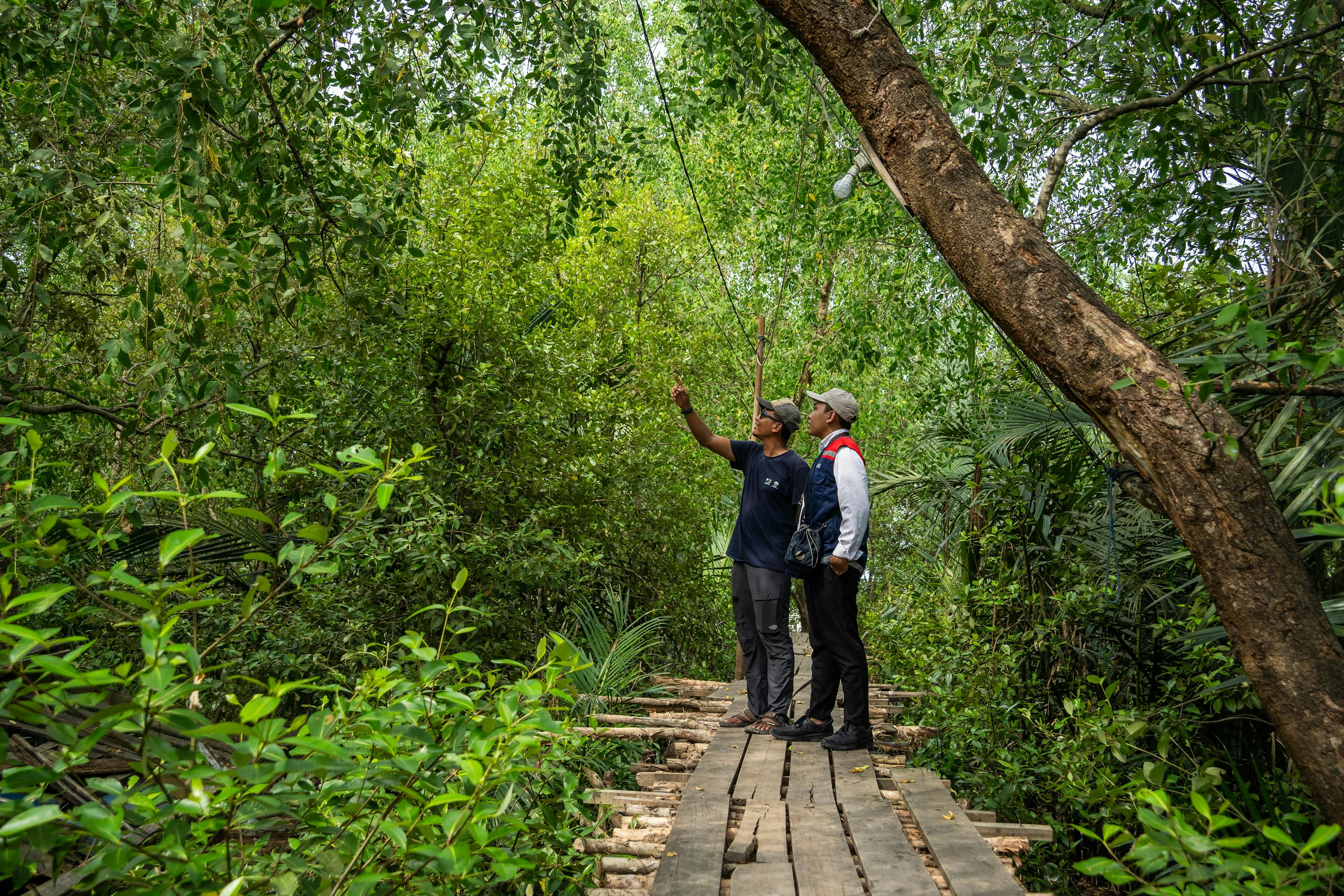 Environmental_Defenders_Java_Mangroves