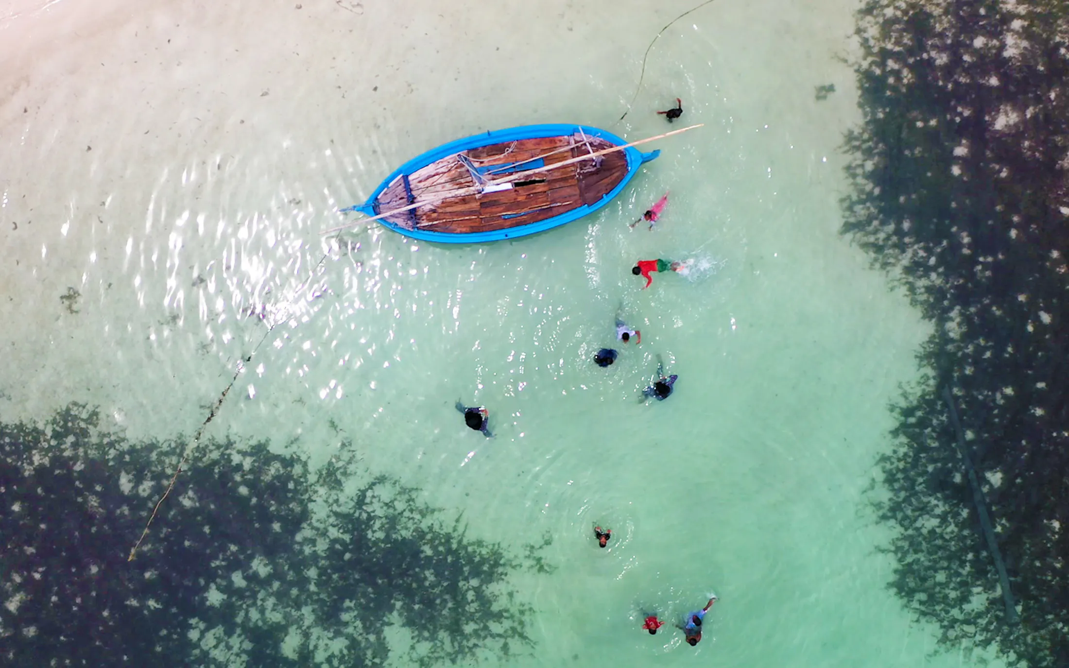 Five climate adaptation ideas to watch in 2026 | News | Eco-Business ...