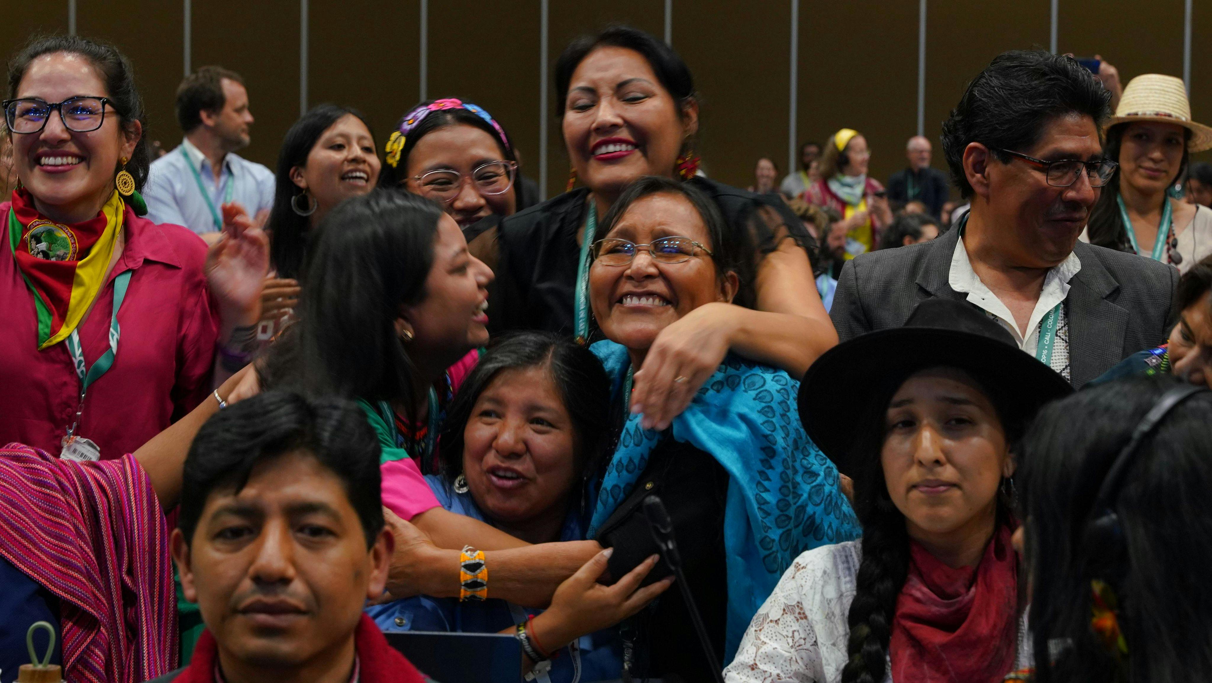 COP16_Indigenous_Peoples_Rights_Article_8J_Closing_Plenary