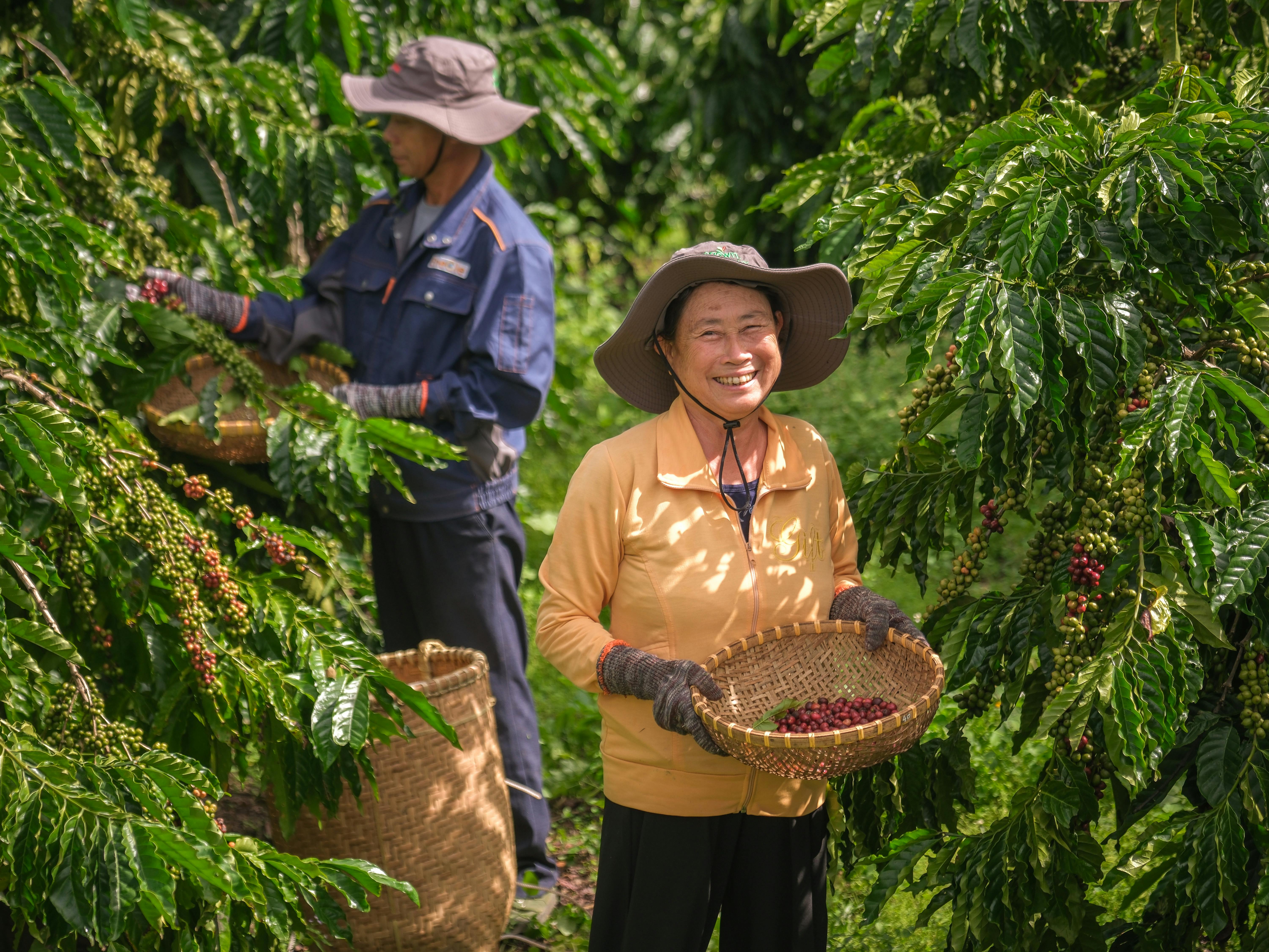 Coffee_Farmer_Vietnam_Producer