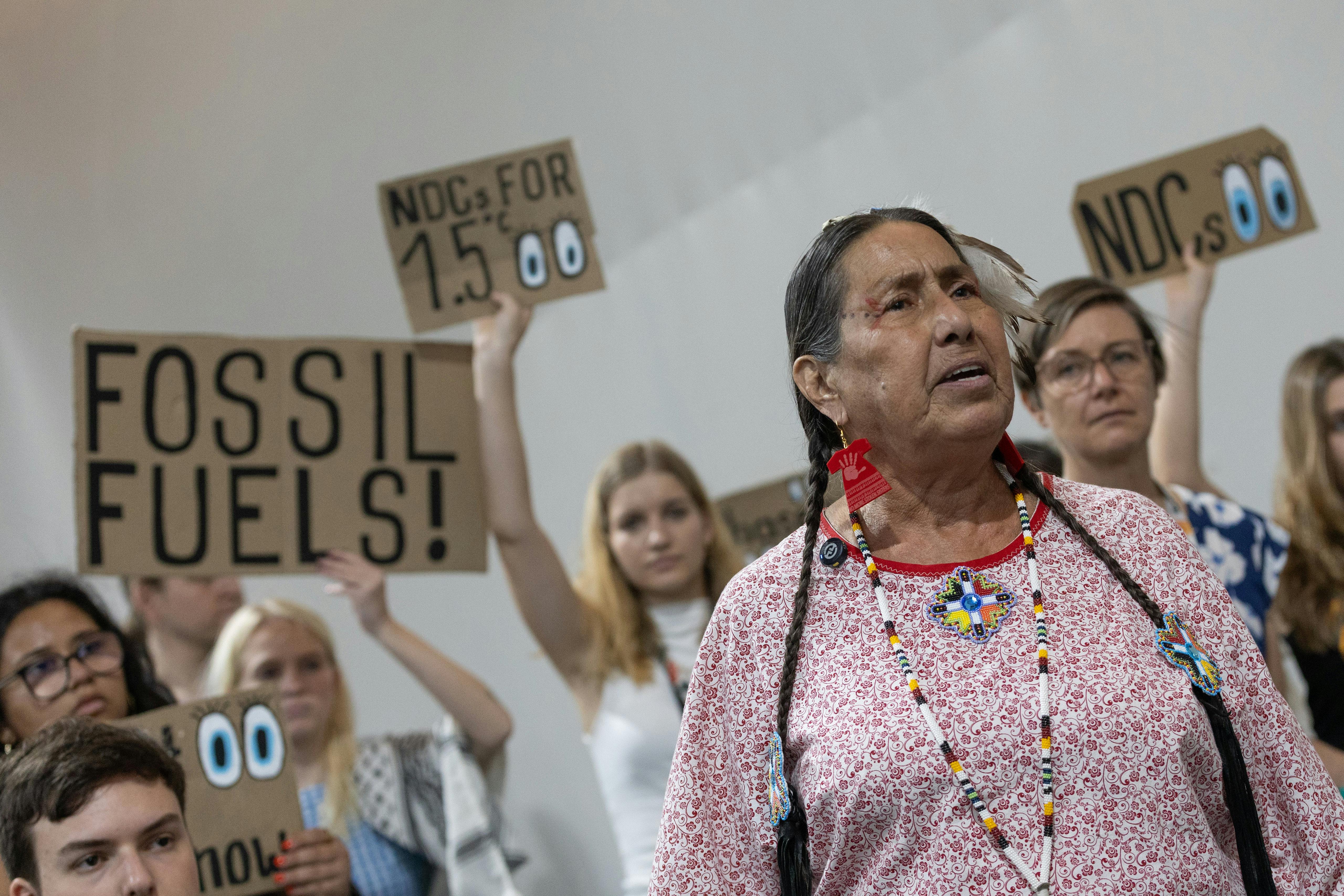 COP30_Climate_Action_Indigenous_Brazil