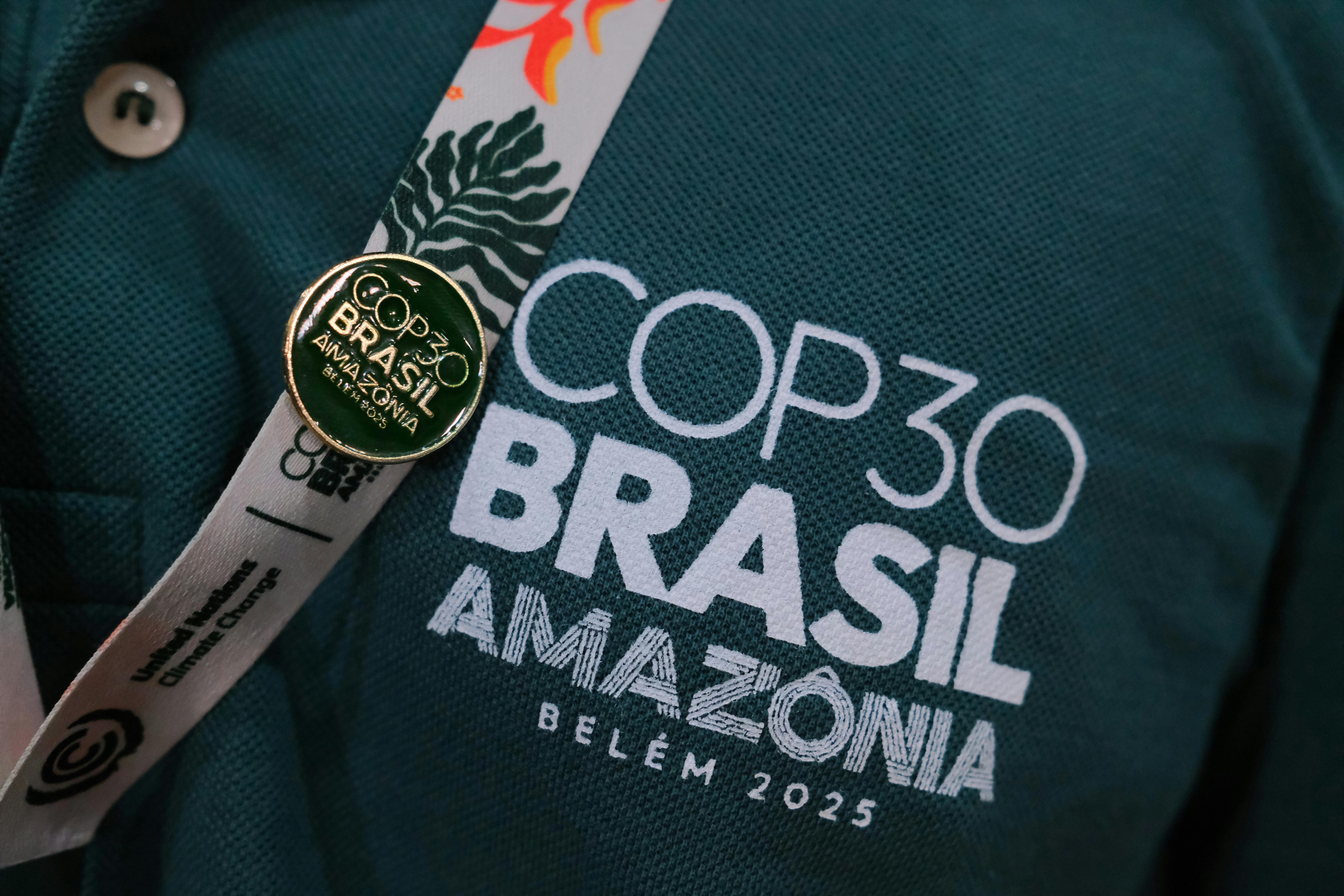 COP30_Critical_Minerals_Policy_China