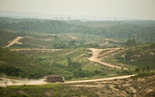 sumatra indonesia deforestation